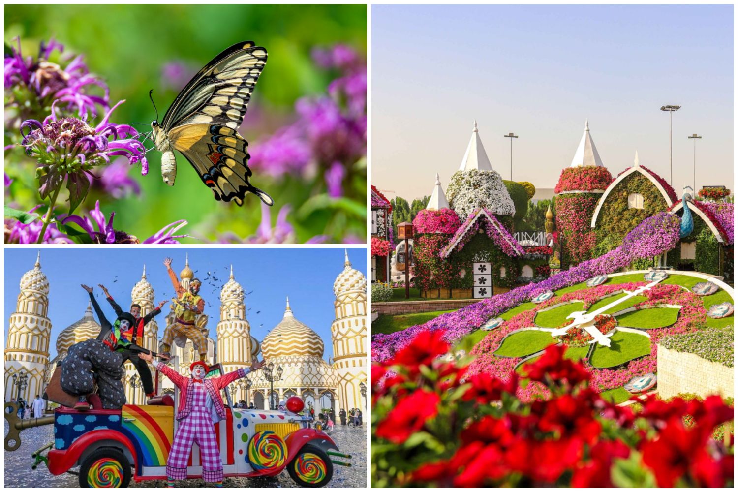 Dubai Butterfly Garden (AED36) or Dubai Miracle Garden (AED79) - Combo with Global Village Available