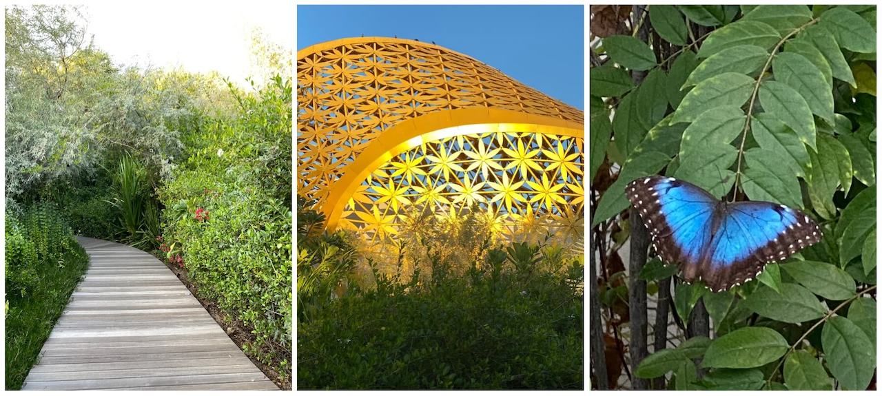 Al Noor Island (Sharjah) With Access to Butterfly House