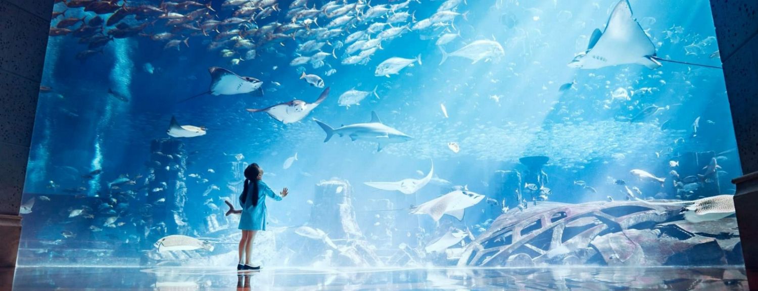 Lost World Aquarium at Aquaventure World (Atlantis) - Open Dated Tickets