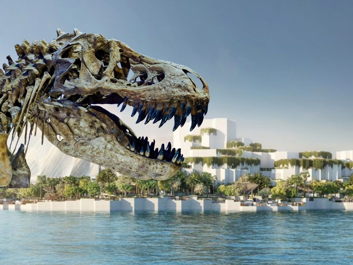 Natural History Museum Abu Dhabi - Open Dated Tickets